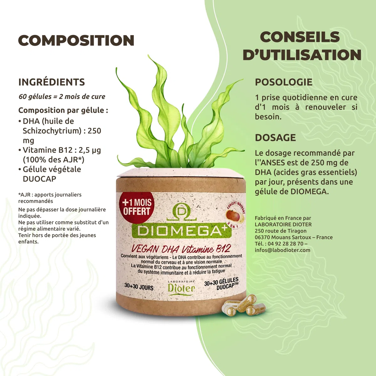 Dioméga Équilibre Cérébral, Oméga 3 végan, DHA d’Algues + Vitamine B12 – Complément Alimentaire végan - Mémoire, Concentration, Vision & Système Nerveux - 60 Gélules