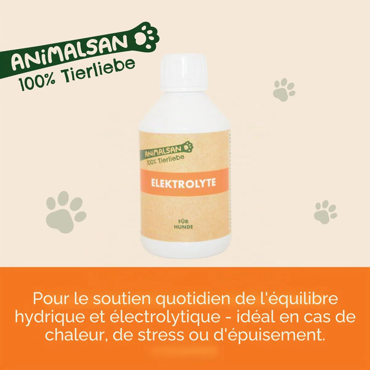 Électrolytes pour chien - Complément alimentaire pour chien - 250 ml de concentré - Pour un soutien quotidien de l'équilibre hydrique et électrolytique de votre chien