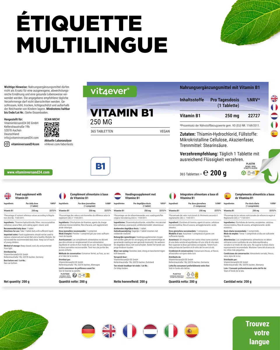 Vitamine B1 (Thiamine) - 250 mg - 365 Comprimés - Premium : Thiamine Hydrochloride - Haute biodisponibilité - Réserve de 12 mois - Sans additif indésirable - Vegan