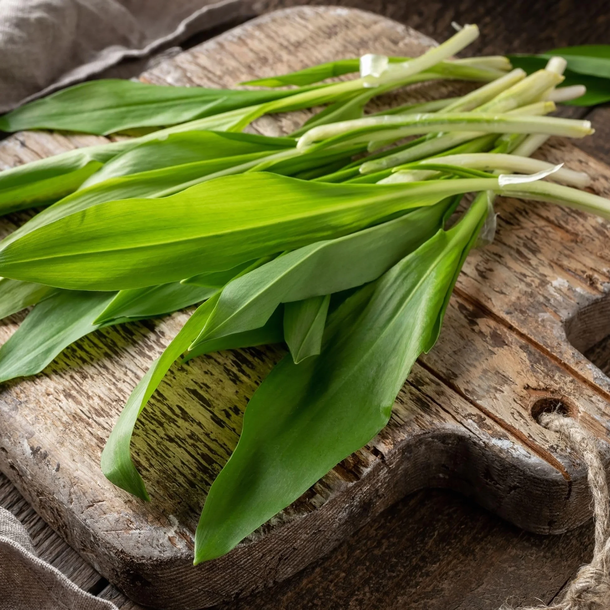 Alpi Nature Ail des Ours BIO 500g, Feuilles d'Ail des Ours Séchées et Hachées pour la Cuisine