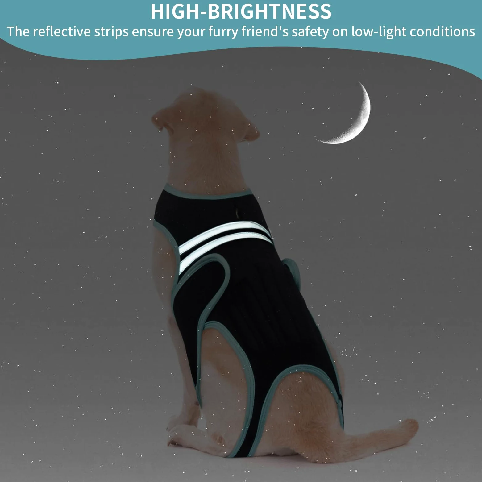 Support Dorsal pour Chien, Protection Dorsale Aide À La Récupération et À La Rééducation des Blessures(M)