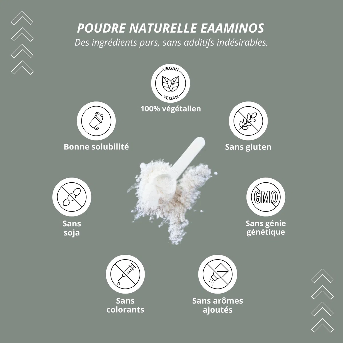 Nutri + Eaa 9 acides aminés poudre - Poudre d'EAA Neutral 500g - Haute dose - AAE instantanés goût neutre sans édulcorants, additifs & goût artificiel - Vegan Essential Aminos