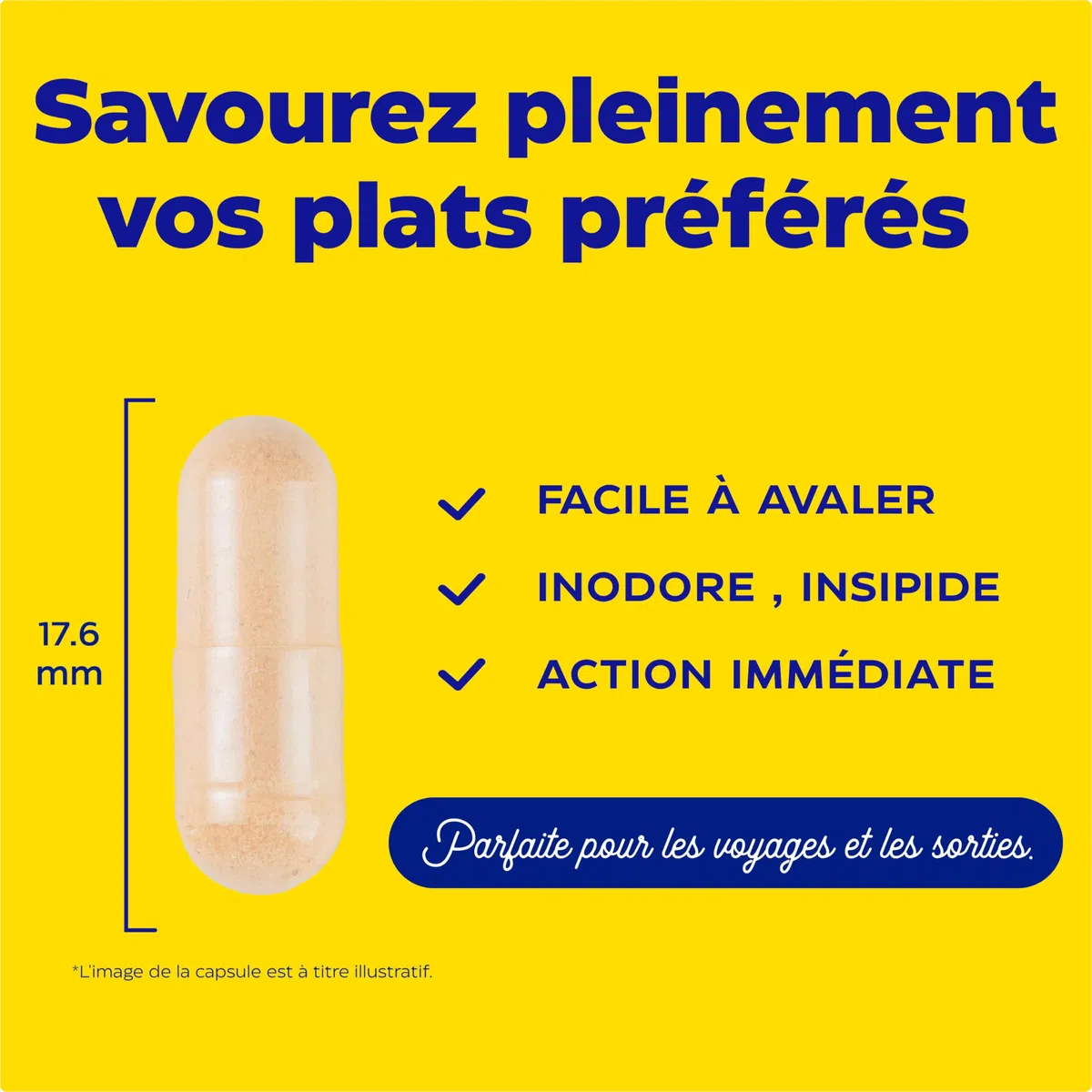 Enzymedica, Digest Basic + Live Bacteria, Formule Enzymatique, Réduit Les Gaz Et Les Ballonnements, Améliore L'Absorption Des Nutriments Et L'Énergie, Sans Gluten, Sans Produits Laitiers, 90 Capsules
