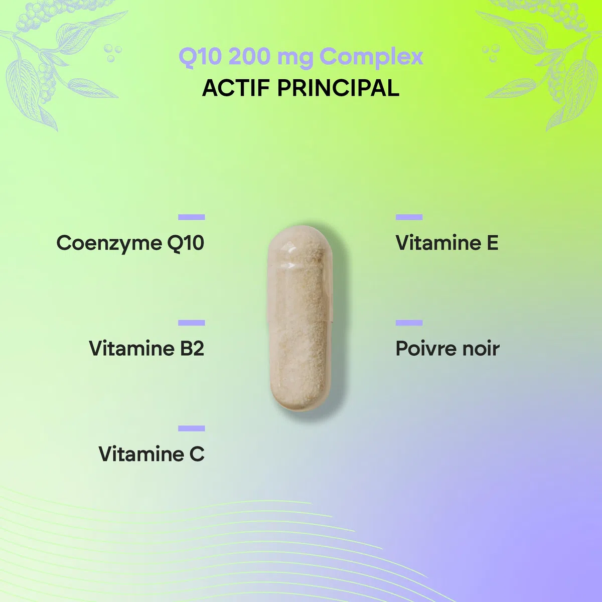 Coenzyme Q10 Complex 200mg - 120 Gélules Coq10 - Antioxydant avec Vitamine C, E et B2, Poivre Noir - Système Immunitaire - Ubiquinone Coenzyme Q10-120 Gélules Nutralie