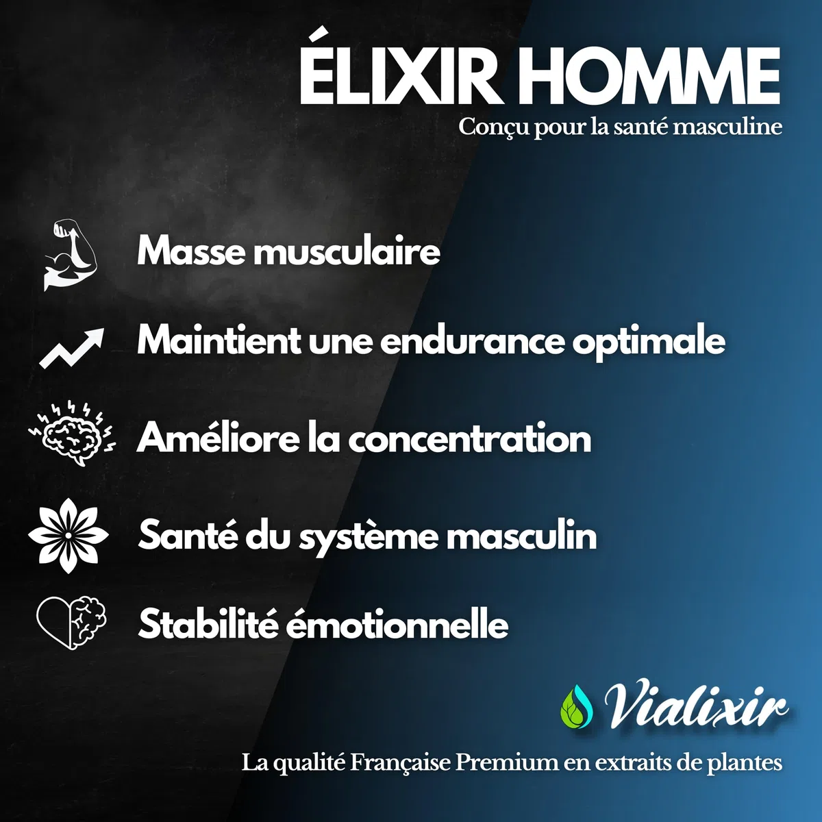 Vitalité & Énergie Homme | Ashwagandha, Maca Bio, Ginseng Rouge, Tribulus, Fenugrec | Endurance & Tonus | 60 Gélules | 100% Naturel | Fabriqué en France – Vialixir