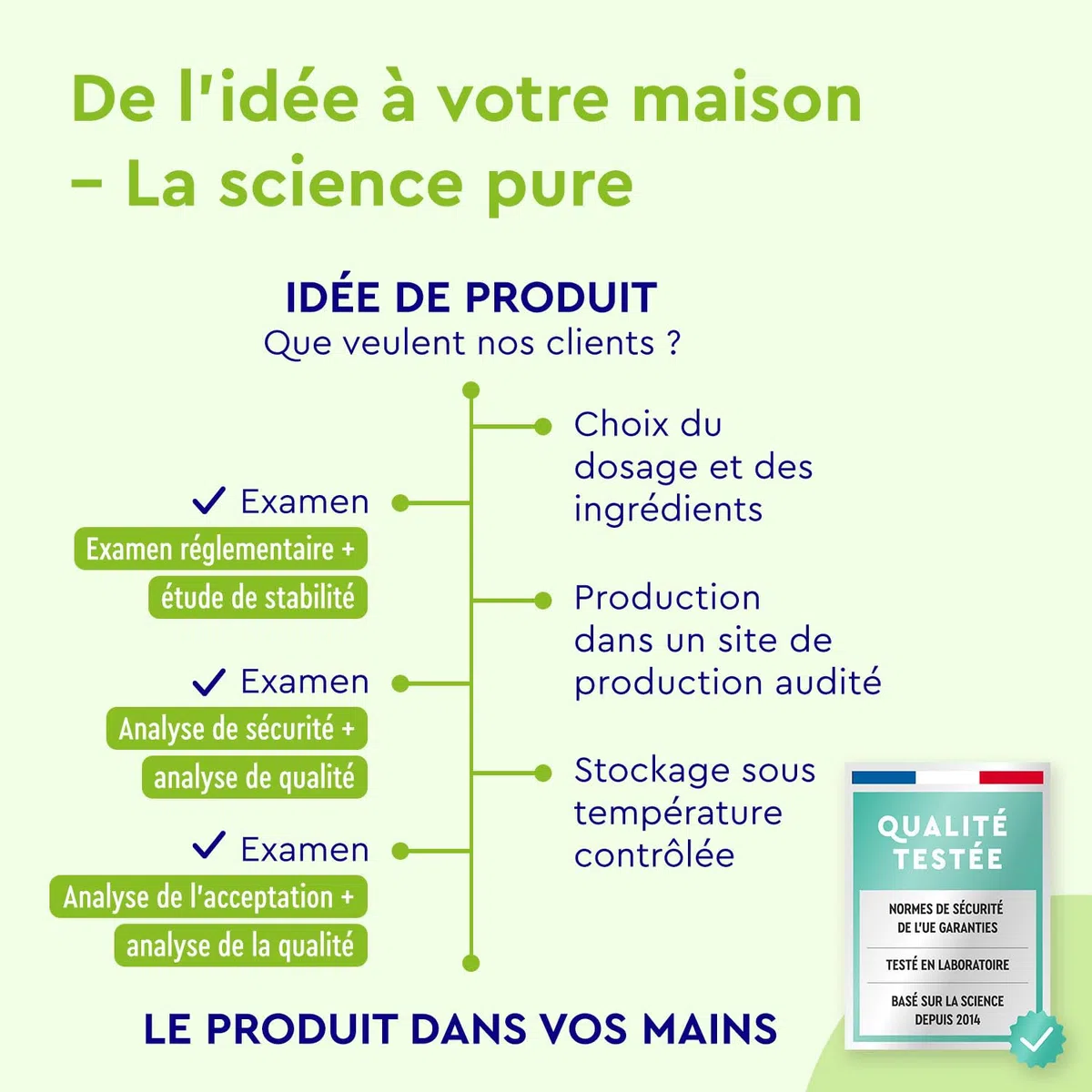 Extrait d'Ortie - Avec Extrait de Marron d'Inde + feuilles de vigne rouge - 120 Capsules - Complexe de Feuilles d'Ortie + Vitamine C, Manganèse & Cuivre - Hautement Dosé, 100% Vegan & Sans Additifs