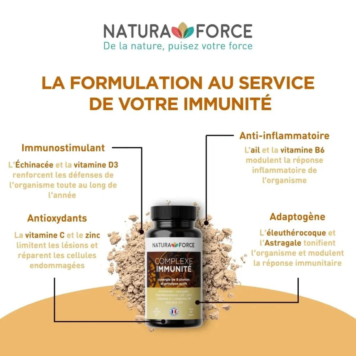 Complexe Immunité - Synergie de plantes adaptogènes_Défenses naturelles de l'organisme_Augmente les niveaux d'énergie et aide à réduire la fatigue_Boîte de 60 capsules, paquet de 1