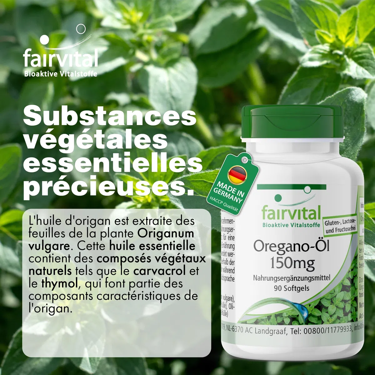 fairvital Gélules d'huile d'origan 150mg, 90 gélules molles, faciles à avaler, HAUTEMENT DOSÉES, extrait d'huile d'origan 10:1, Origanum vulgare
