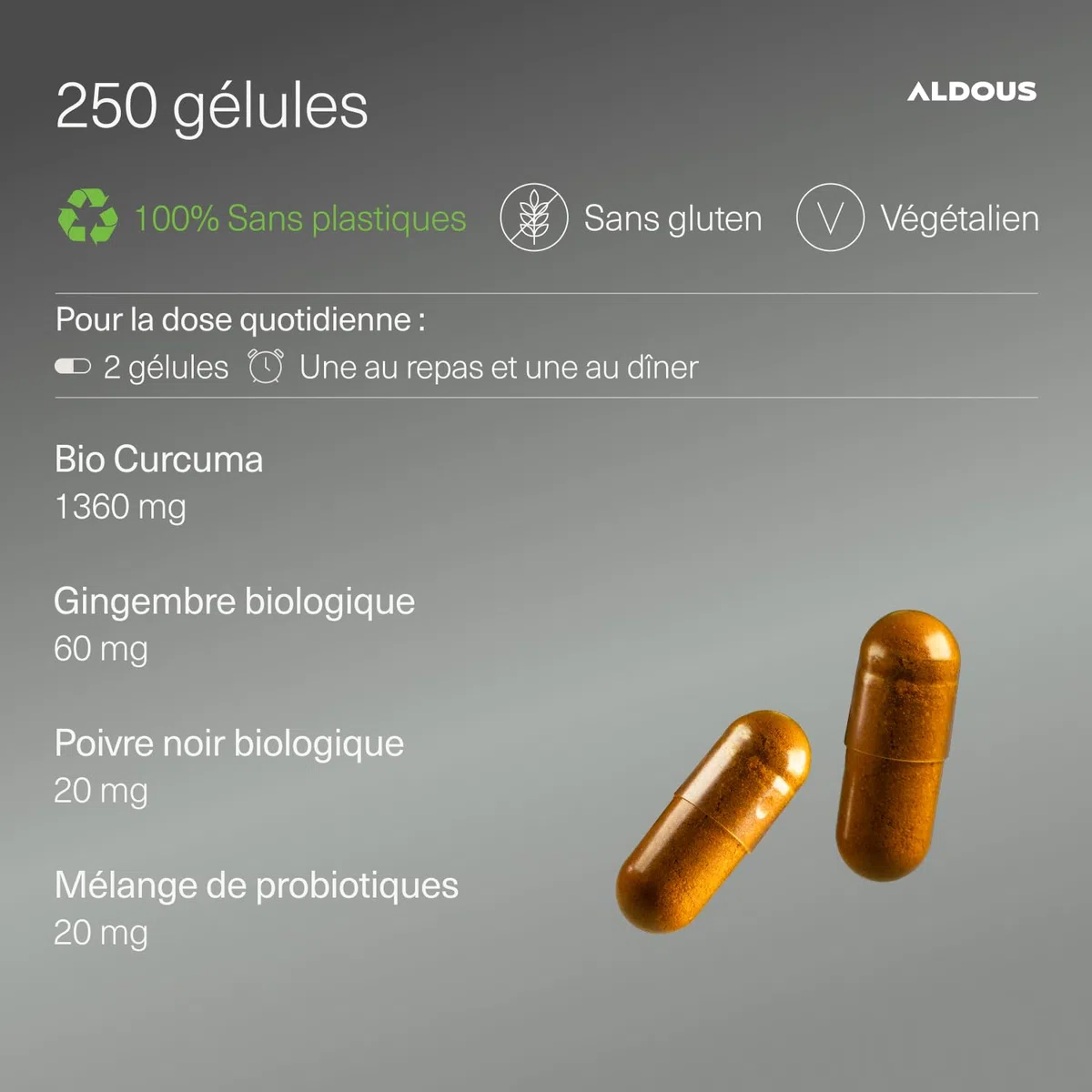 250 Gélules PROBIOTIQUES + Curcuma BIO au Gingembre et Poivre Noir - 1460mg - Curcuma à base de Curcumine et Pipérine - Anti-inflammatoire Naturel - Formule Avancée - Certifié Bio - ALDOUS