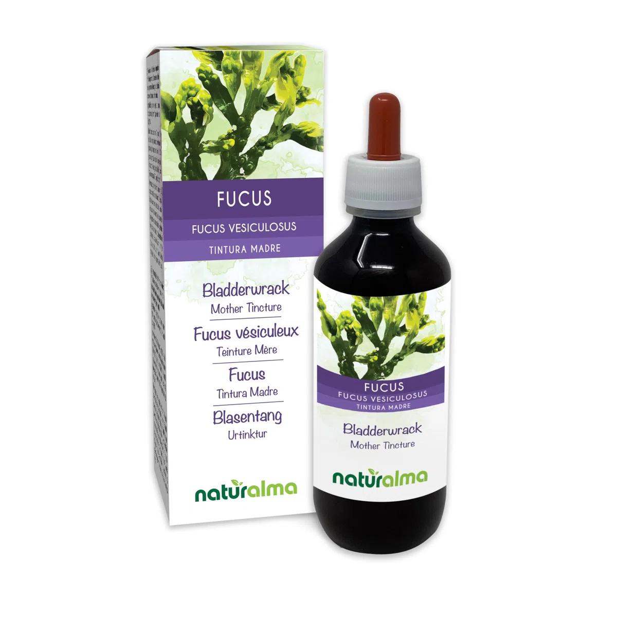 Fucus vésiculeux ou Chêne marin (Fucus vesiculosus) thalle (algue) Teinture Mère sans alcool Naturalma - Extrait liquide gouttes 200 ml - Complément alimentaire - Végétalien ou végan