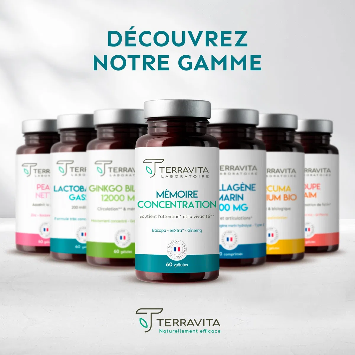 Mémoire Concentration | Ginseng Rouge de Corée + Bacopa + Actif Breveté EnXtra | 5 Heures de Vivacité et de Clarté Intellectuelle | Nootropique sans Caféine | 60 Gélules | Made in France | Terravita