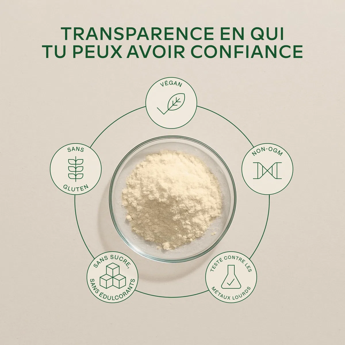 Proteine Vegetale en Poudre 750g DIGEZYME® | Proteine Vegan de Pois (Pea), Ris, Fèves, Tournesol - Protéines Sans Sucre, Sans Lactose - 9 acides aminés essentiels EEA et BCAA - Vegan Protein Powder