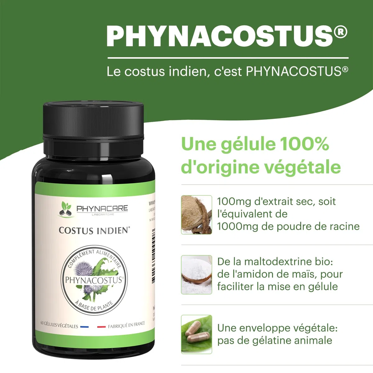 COSTUS INDIEN - COSTUS MARIN - 60 GÉLULES VÉGÉTALES - PHYNACOSTUS, FABRIQUE ET ANALYSÉ EN FRANCE, PHYNACARE LABORATOIRE