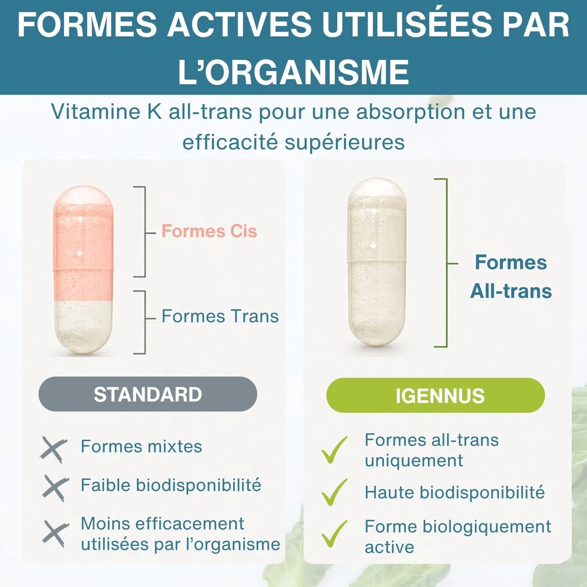 Igennus Triple Vitamine K Complex Avancé 2700 mcg, K2 (MK-4 & MK-7) & K1, Formes Naturelles Bioactives, Haute Puissance, Santé Osseuse et Cardiovasculaire, Formule Pure, Végan, 90 Gélules, 1 par jour