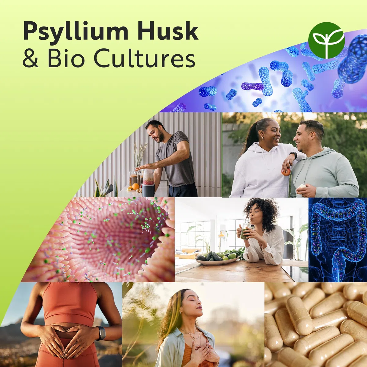 Nutravita Psyllium Blond 4500mg Vegan avec 500 Million de CFU - 180 Psyllium Gelules pour 3 Mois - Complement Alimentaire Transit Intestinal (EFSA)