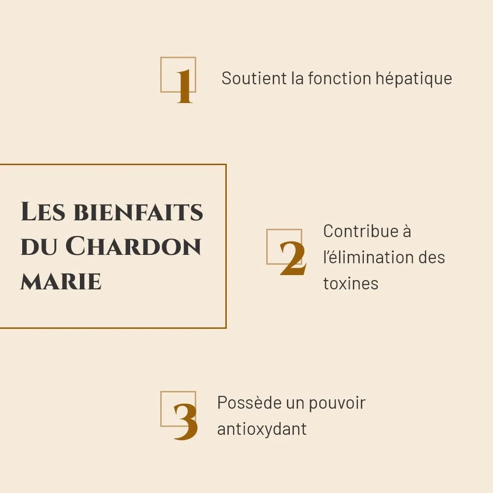 Chardon Marie - Complément nutritionnel Cheval - Seau 1 kg - Détoxification Foie Cheval - Élimination des toxines - Marque Française