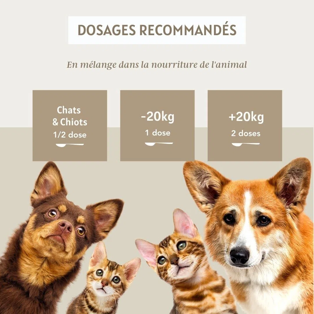 Propolis Bio 100g pour Chien et Chat - Hygiène buccale, Stimulation des défenses immunitaires, cicatrisation des plaies