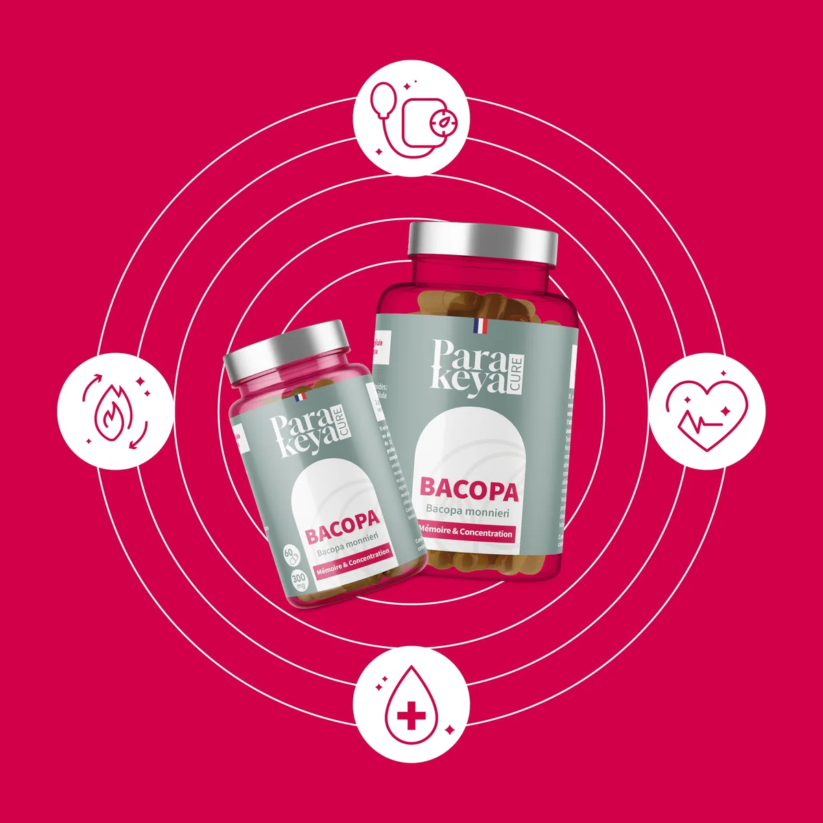 Bacopa 300 mg| Mémoire et Concentration|Complément alimentaire|180 gélules