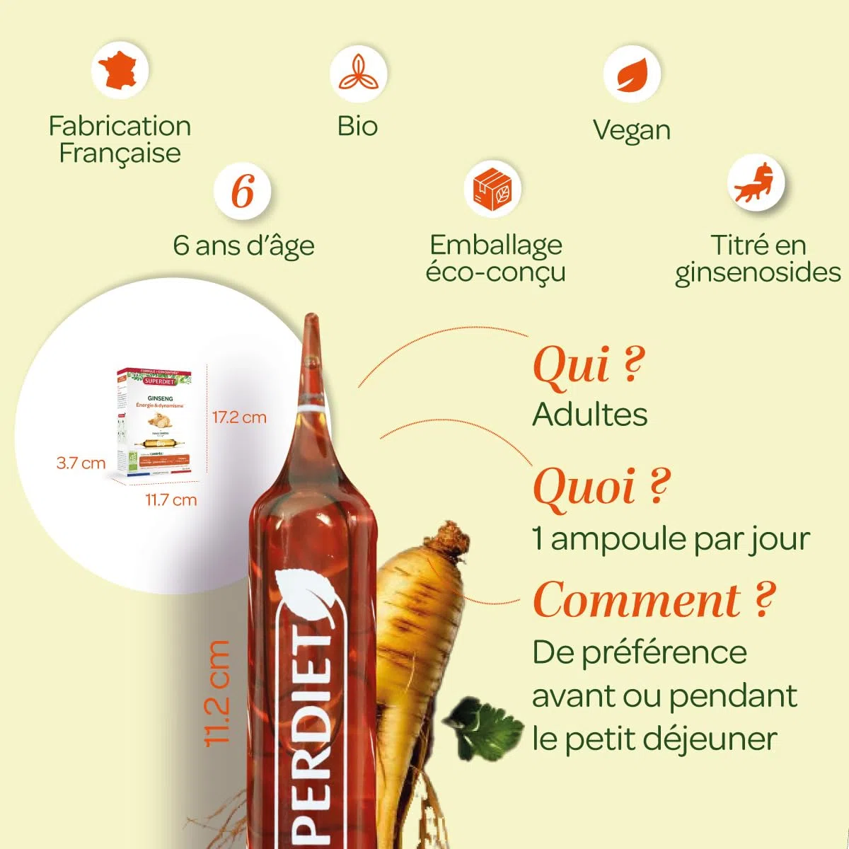 SUPERDIET – GINSENG BIO – Énergie & Dynamisme – Phytothérapie – Fabrication française – 20 ampoules de 10 ml