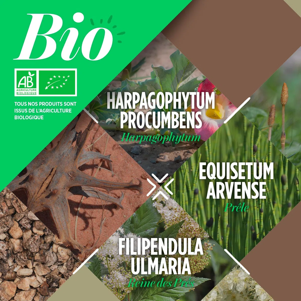 Articulation Bio 400 mg – 200 Comprimés - Prêle, Reine des Prés et Harpagophytum - Maintenir la Santé Articulaire.