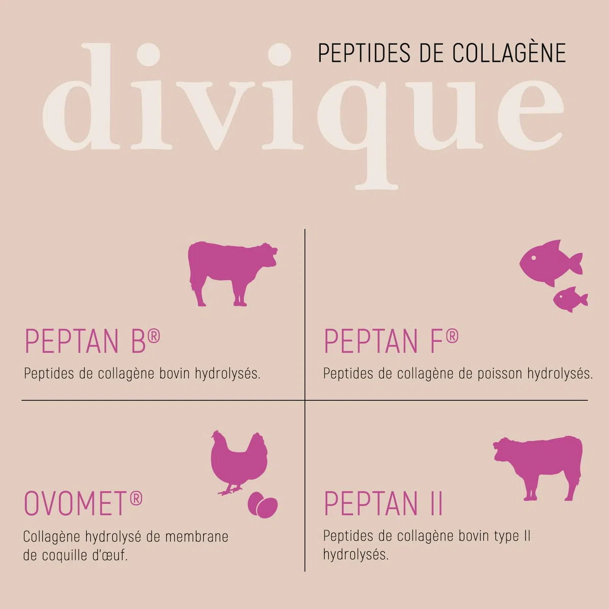 Divique poudre de collagène [500g] - premium multicollagène de type 1, 2, 3, 5, 10-100% peptides - 10 000 mg de collagène par jour - insipide, soluble, sans additifs
