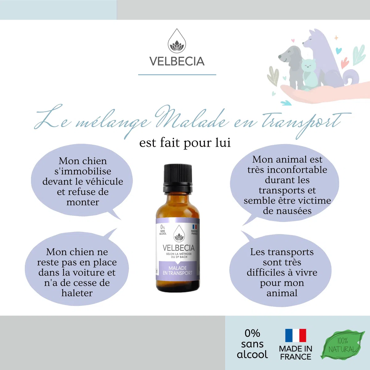 Velbecia Animal Malade en voiture 50ml +1 OFFERT Elixirs de fleurs SANS ALCOOL - Méthode du Dr Bach - Voyager plus sereinement, transport paisible, apaisé, chat, chien
