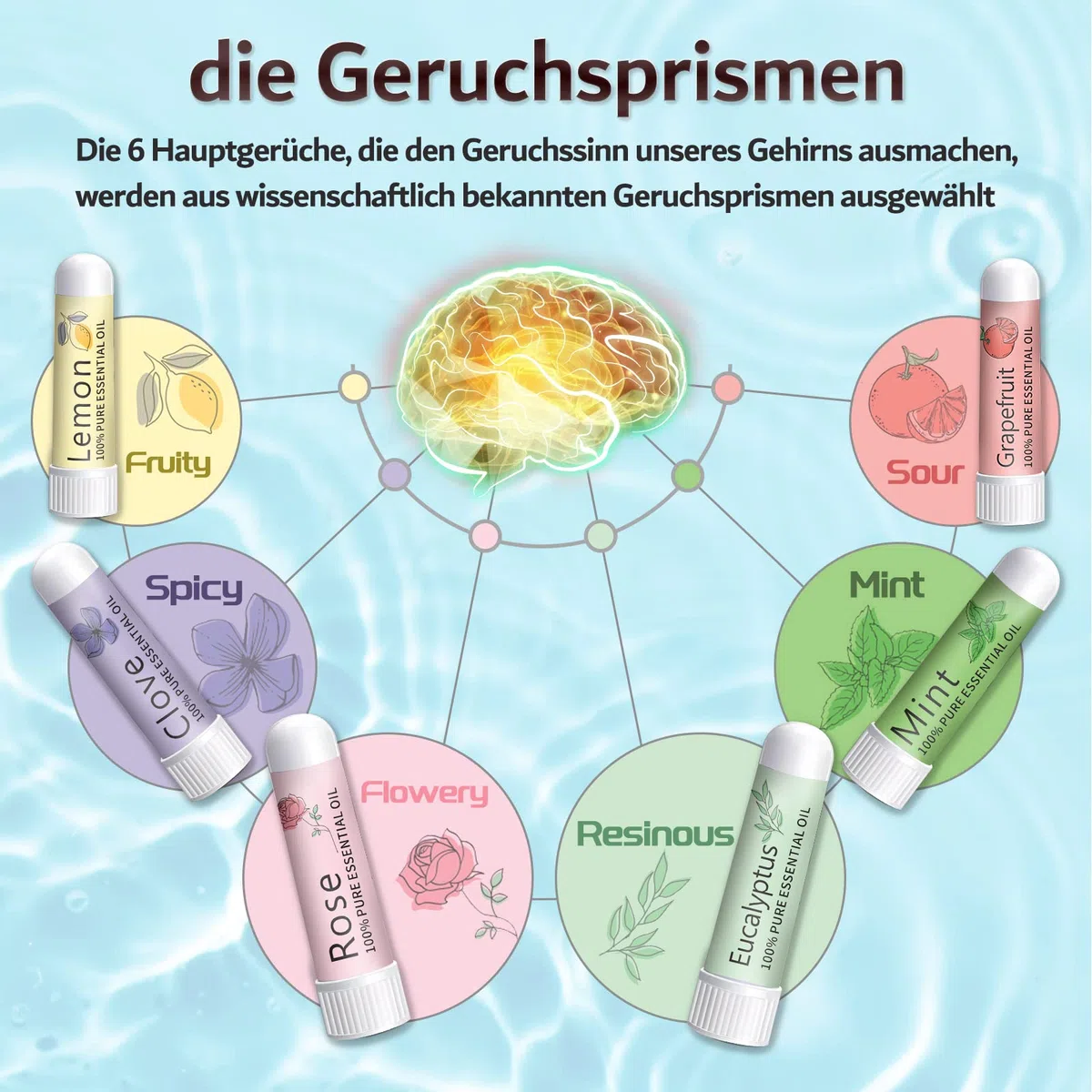 Hion Kit de Formation Smell, 6 Huiles Essentielles, kit de Formation Olfactif Aide à Retrouver Votre Sens de l'odorat, Huiles Essentielles de Citron Menthe Rose Pamplemousse Clou de Girofle