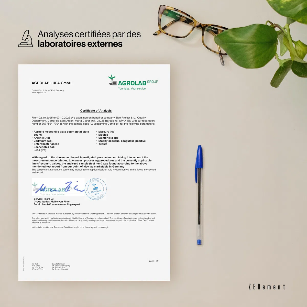 Complexe de Glucosamine avec Chondroïtine, MSM, Boswellia, Bambou, Quercétine et Sélénium - 365 Gélules, Formule en Gélules - Sans Additifs, Sans OGM - Zenement