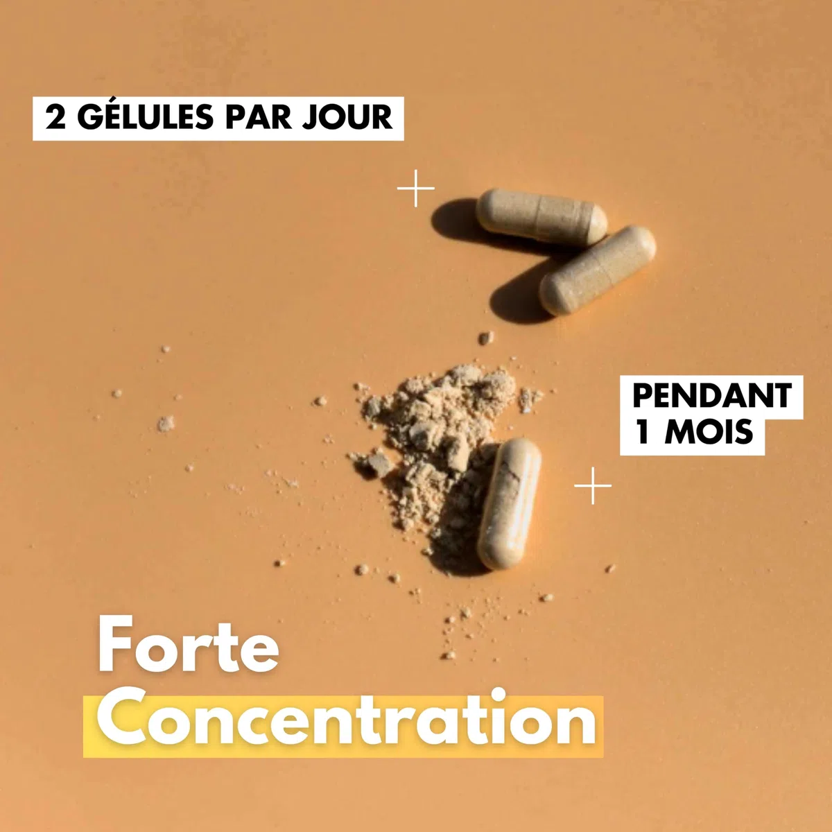 KOTOR PROSTATE | Troubles Urinaires, HBP, Envie Fréquente d’Uriner | Complexe Naturel & Français | Ortie Piquante + Palmier Nain + Prunier d’Afrique | 60 Gélules | 1 Mois