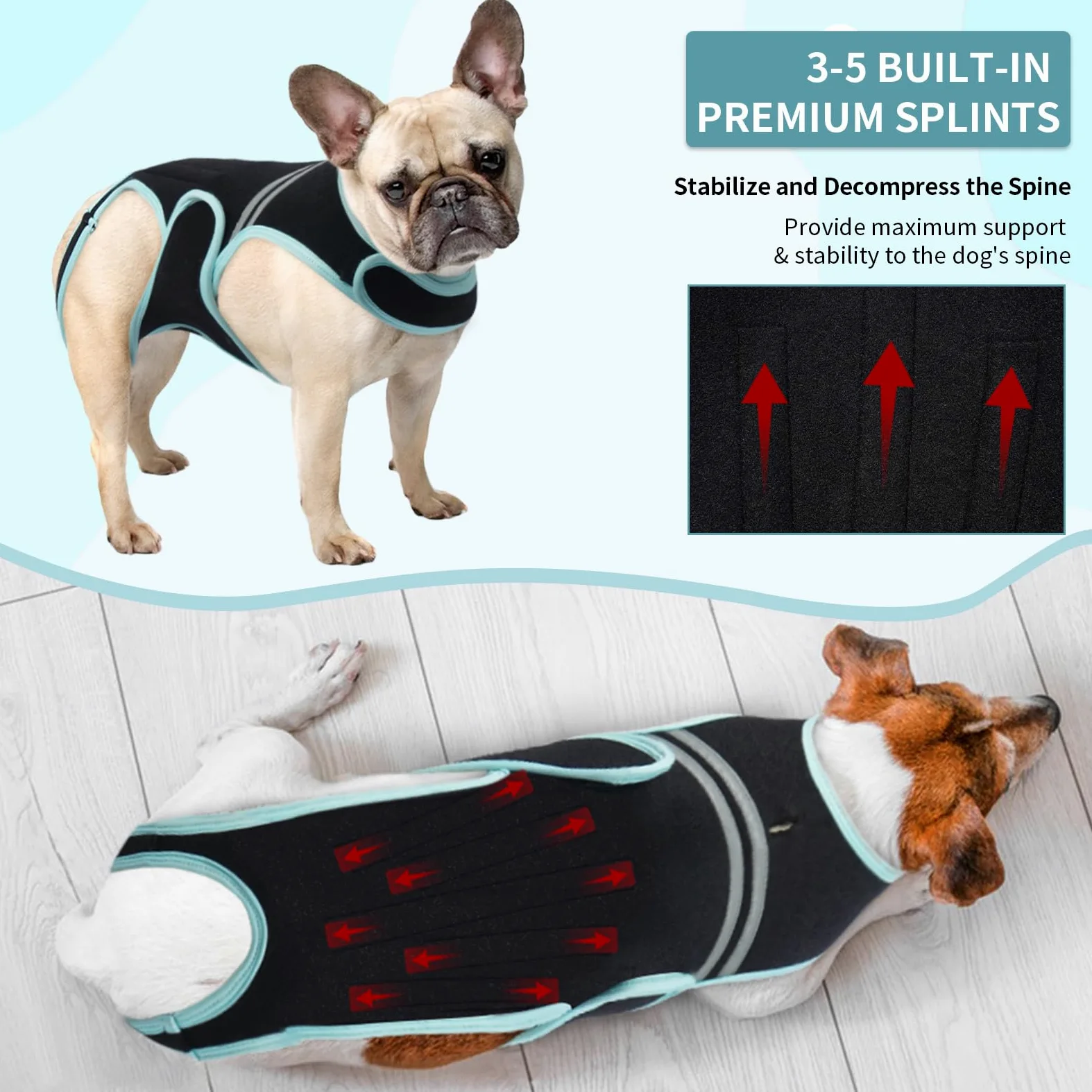 Support Dorsal pour Chien, Protection Dorsale Aide À La Récupération et À La Rééducation des Blessures(M)
