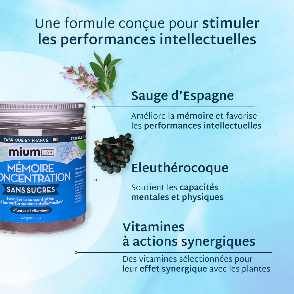 Mium Lab - Mémoire & Concentration, Anti-Stress, Capacités intellectuelles - Adultes & Adolescents - Plantes et Vitamines Hautement dosées - Cure 21 jours - Fabriqué en France