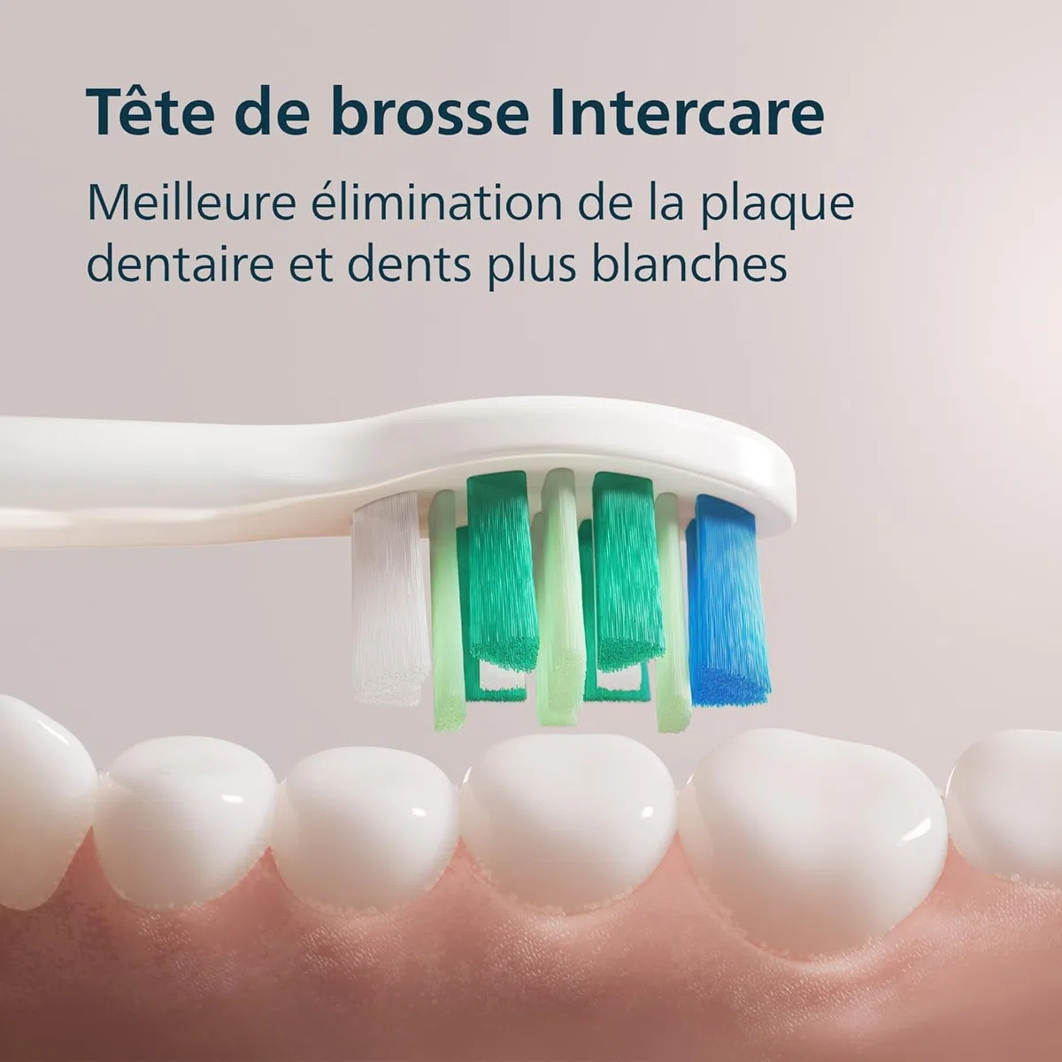 Philips Sonicare Série 2100 - Brosse à Dents Électrique Sonique, Élimine 3x plus de plaque, Capteur de pression, SmarTimer & QuadPacer, Bleu Cobalt (HX4021/04) (Bleu Marine)
