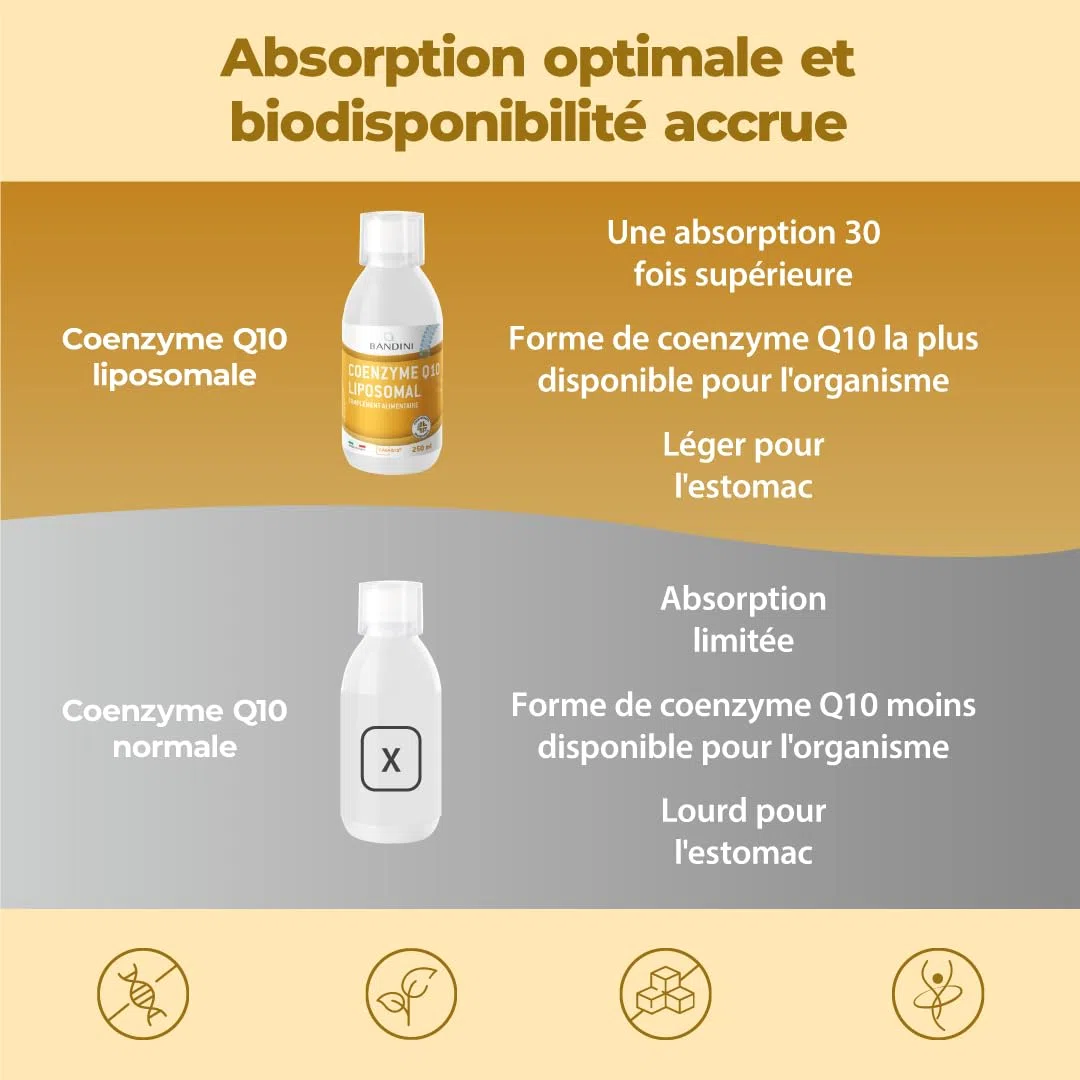 Bandini® Coenzyme Liposomale Q10 200mg Extra Fort | Vegan, Antioxydant puissant - CAVAQ10® 100% Ubiquinone forte & pure - Coq10 fermenté, haute biodisponibilité, testé en laboratoire, qualité premium