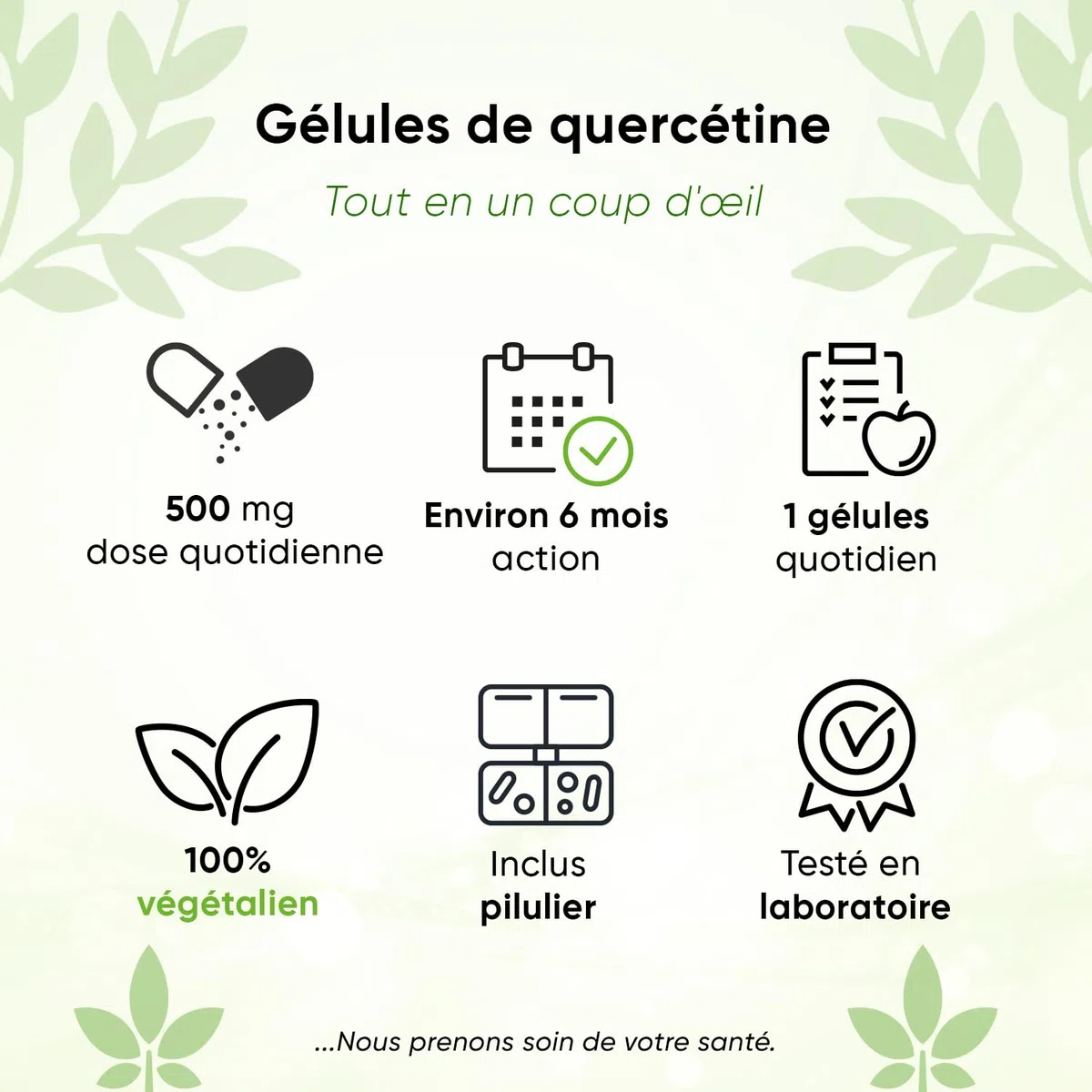 Quercétine – 500 mg – 180 gélules – 6 mois – Avec boîte à pilules – Vegan – Extrait de fleur de Sophora du Japon 95% - Sans additifs