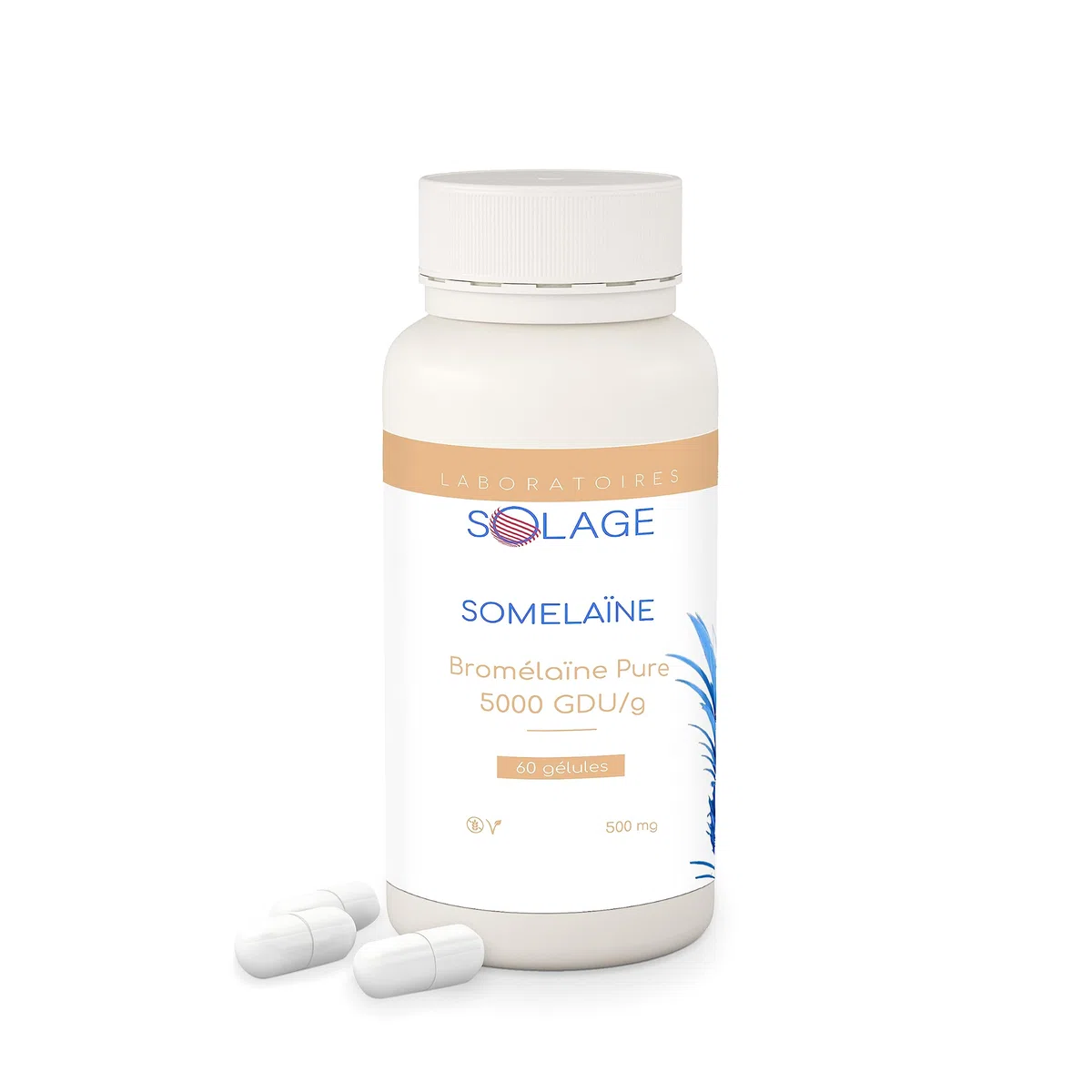 Laboratoires SOLAGE Bromélaïne Pure Ultra Concentrée 5 000 GDU/gr Extrait Naturel d'Ananas Digestion Tendons Récupération Immunité Ligne Vegan Fabriquée en France 60 Gélules
