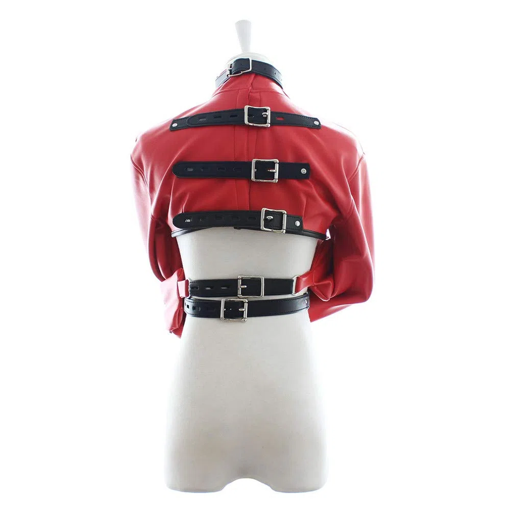 Monogant BDSM Armbinder Sac de restraint Menottes (Rouge)
