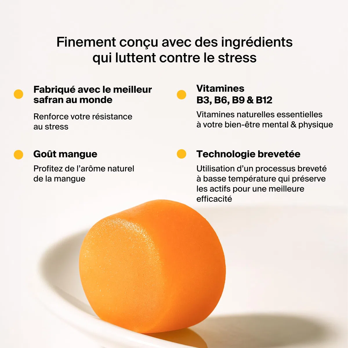 Naali Gummies Anti Stress Safran Vitamines B3 B6 B9 B12 – 60 Gommes - Fatigue, Soutien de l’Humeur, Énergie Mentale – Sans Sucre, Goût Mangue – Complément Bien-Être, Équilibre Intérieur