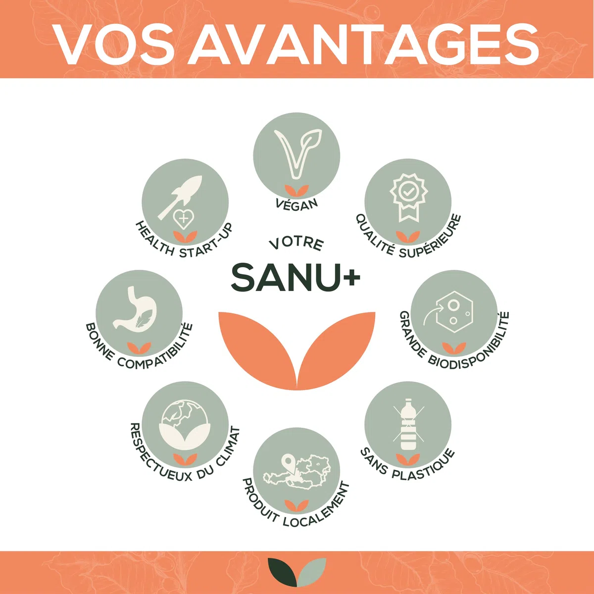 Beta Carotine d'algue 50.000 UI de vitamine A par gélule | 120 gélules | Hautement dosé | à base d'algue Dunaliella salina et d'extrait de carotte | Végétalien