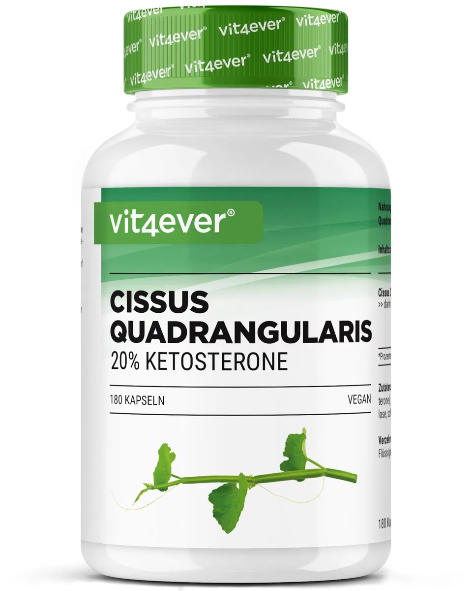 vit4ever Cissus Quadrangularis - 180 Gélules avec 700 mg d’Extrait - Premium : 20% de Cétostérones - Forte Dose - Végan