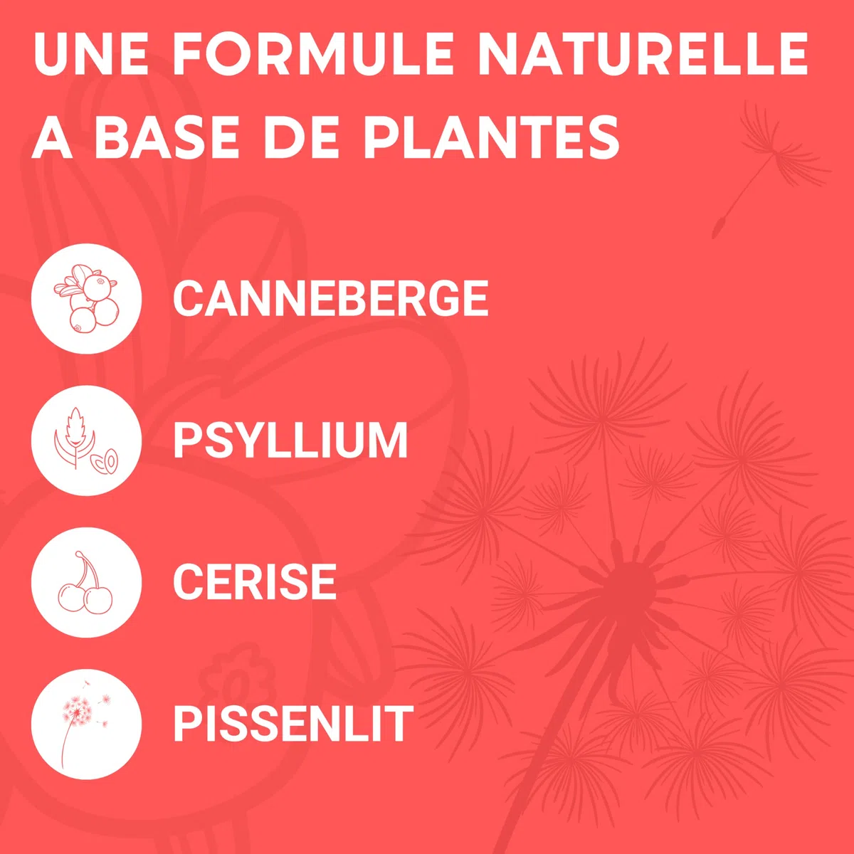 FORMULE CONFORT URINAIRE | Cranberry Psyllium Cerise Pissenlit | Complement alimentaire | Confort, Drainage, Régulation | 60 Gélules | Fabriqué en France