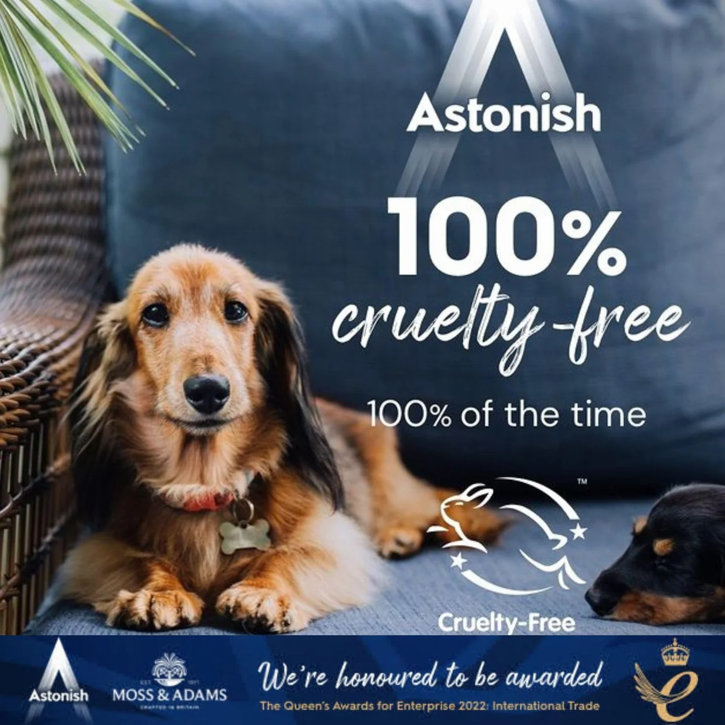 Astonish Oxi Action Non-Bio 825 g