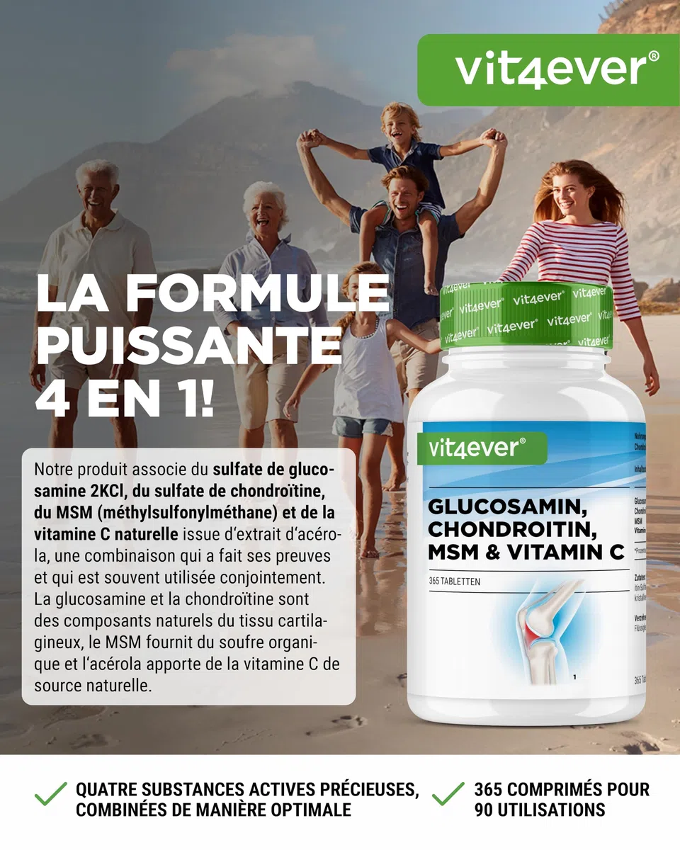 Glucosamine Chondroïtine MSM - 365 Comprimés - Hautement Dosé à 2000 mg par Jour - 3 Mois d'Approvisionnement - sans Additifs Indésirables | 1000 mg de glucosamine, 500 mg de chondroïtine, 500 mg de MSM, 99,9 % de pureté MSM