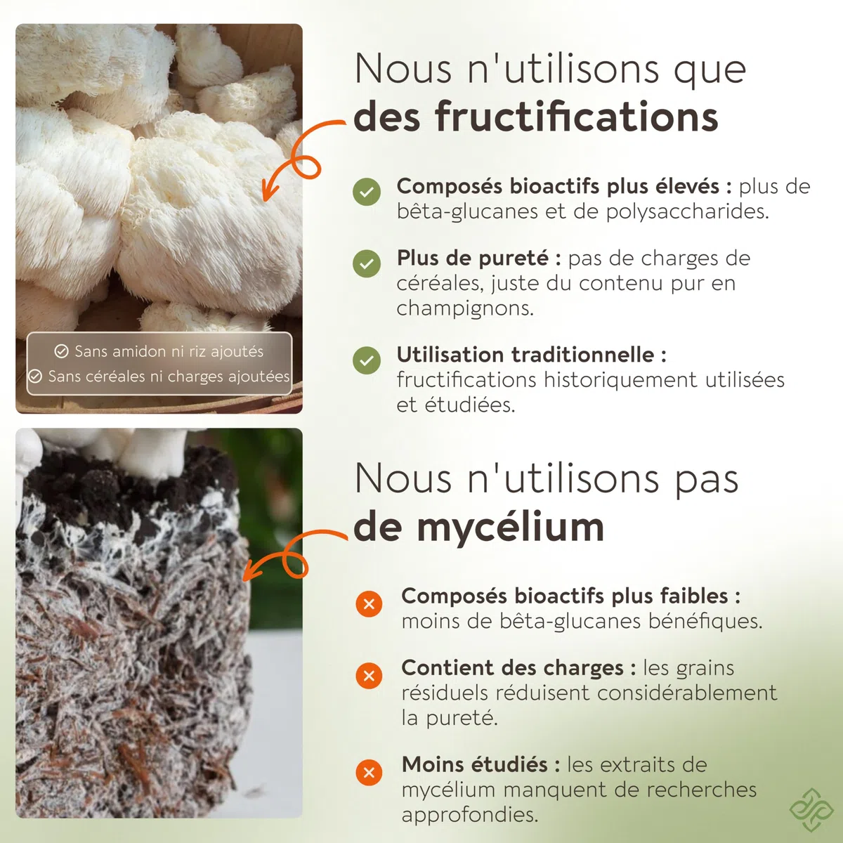 Gélules Crinière de Lion (Lion’s Mane) x120 | Extrait Puissant 8:1 de Champignon Corps Fructifère Pur | 20% Bêta-D Glucanes | Équivalent Brut 7200mg par Portion | Soutien Mémoire Intestin & Cerveau