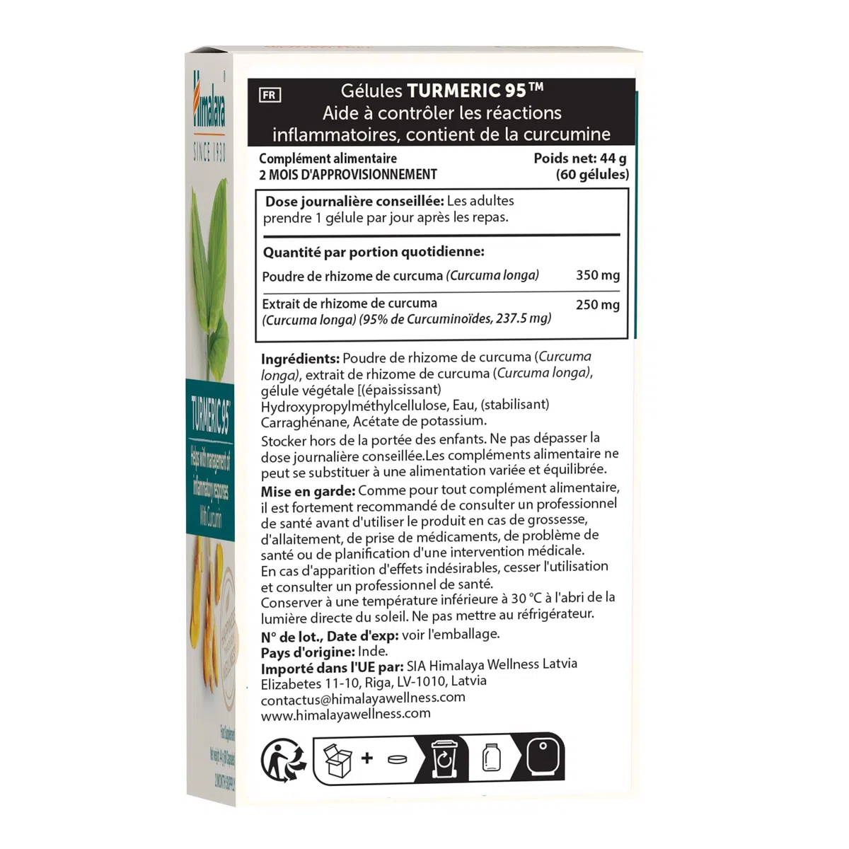 Himalaya Curcuma 95 Supplément avec curcumine/curcuminoïdes, soutient le système immunitaire, résistance aux allergies, 600 mg, végétalien, sans gluten, 60 capsules