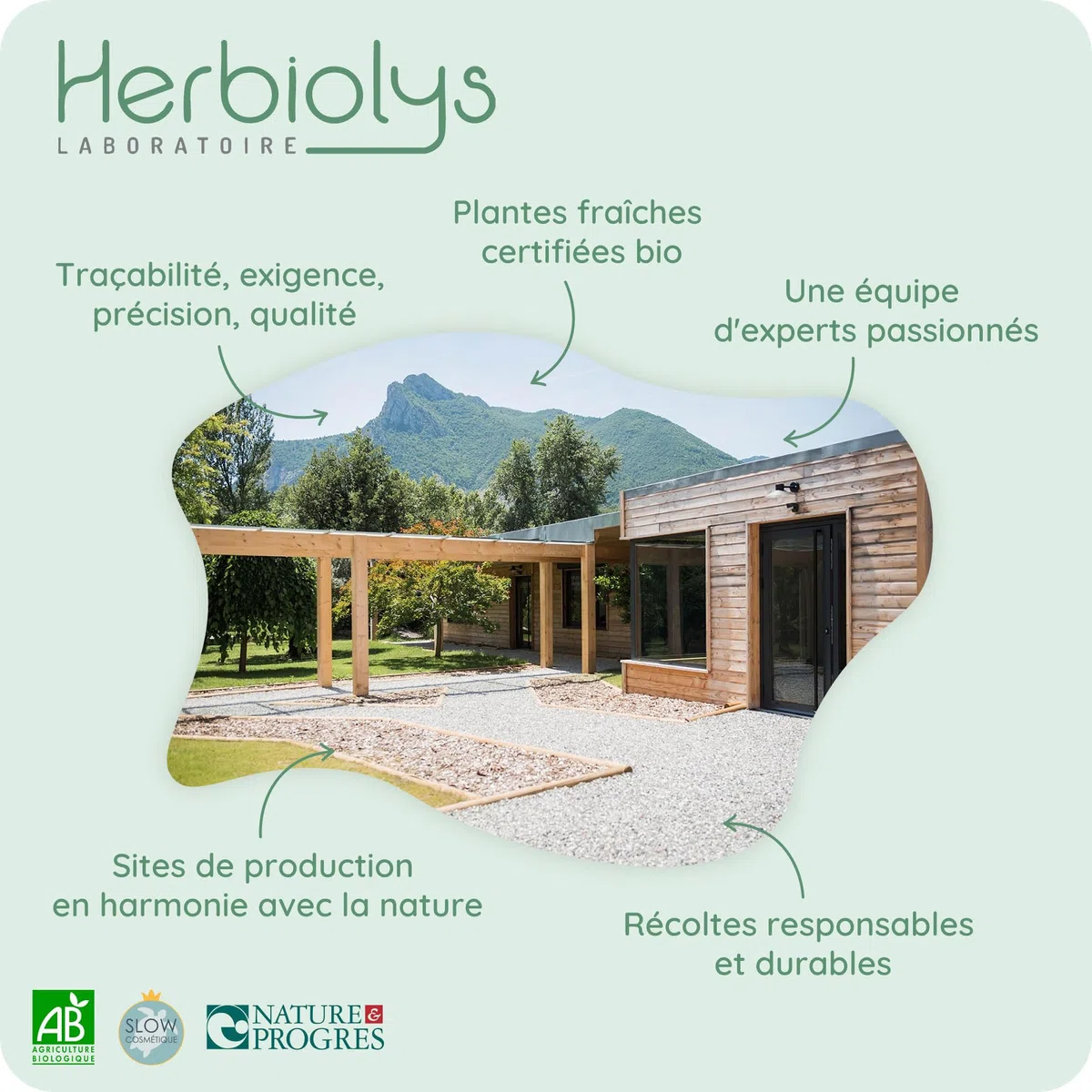 Herbiolys | Huile végétale Bio | Huile Bien-être | Camomille matricaire (Relaxante) | Visage & Corps | 30 ml