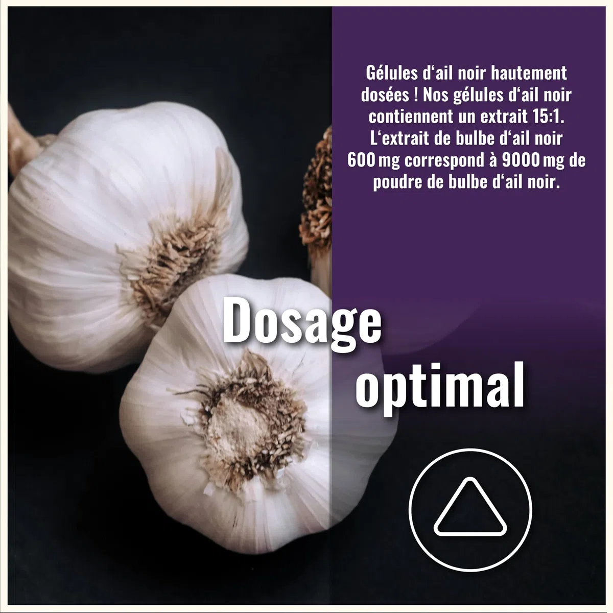 Gélules d’ail noir fermenté 9 000 mg à partir d’un extrait 15:1 – 365 gélules hautement dosées – Black Garlic Capsules – Véganes et sans additifs – Extrait de bulbe d’ail noir - aged garlic extract