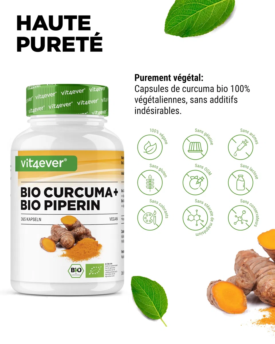 vit4ever Curcuma Bio au Poivre Noir - 365 capsules - 4511 mg de Curcuma Bio (Curcuma) par Dose Journalière - avec Curcumine & Pipérine - Qualité 100% Bio - Fortement Dosé - Végétalien