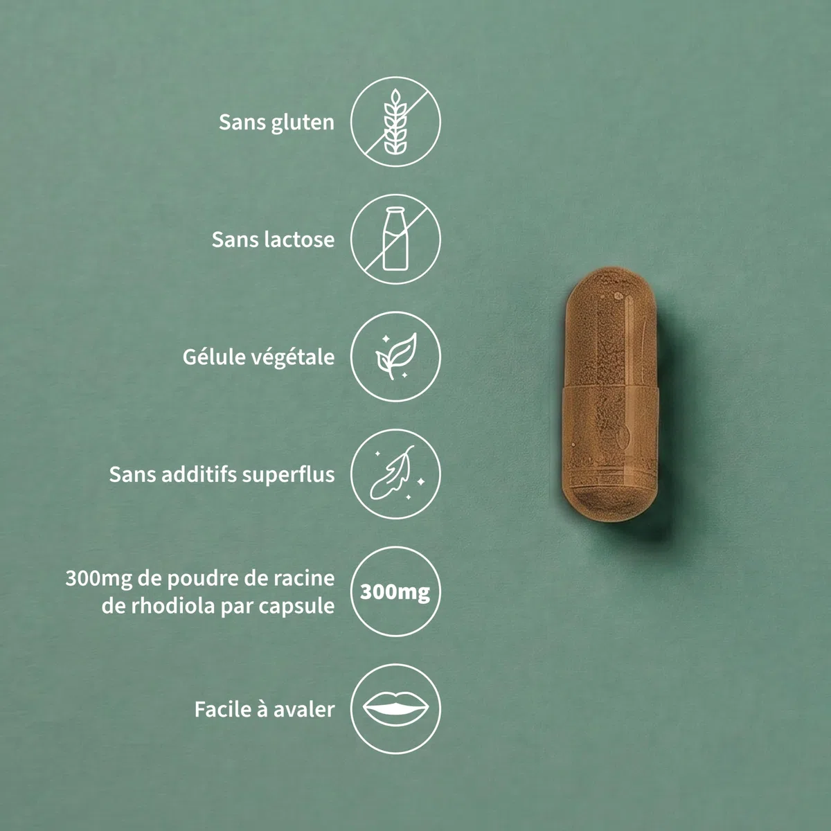 Rhodiola 300 mg - 180 gélules - Complément alimentaire