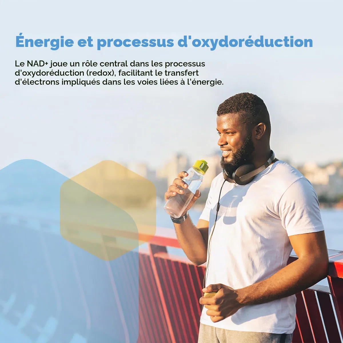 Liposomales NAD+ Gélules 500 mg avec TMG 250 mg, soutient l'énergie cellulaire, 60 gélules (60 Unité (Lot de 2))