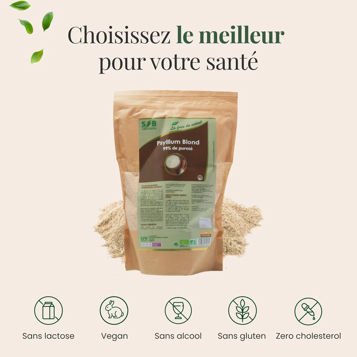 SFB Laboratoires Psyllium Blond Bio 500g – Fibres Naturelles pour une Digestion Saine et un Transit Régulier – Téguments Purs à 99% – Certifié Biologique, Adapté Régime Vegan et Sans Gluten